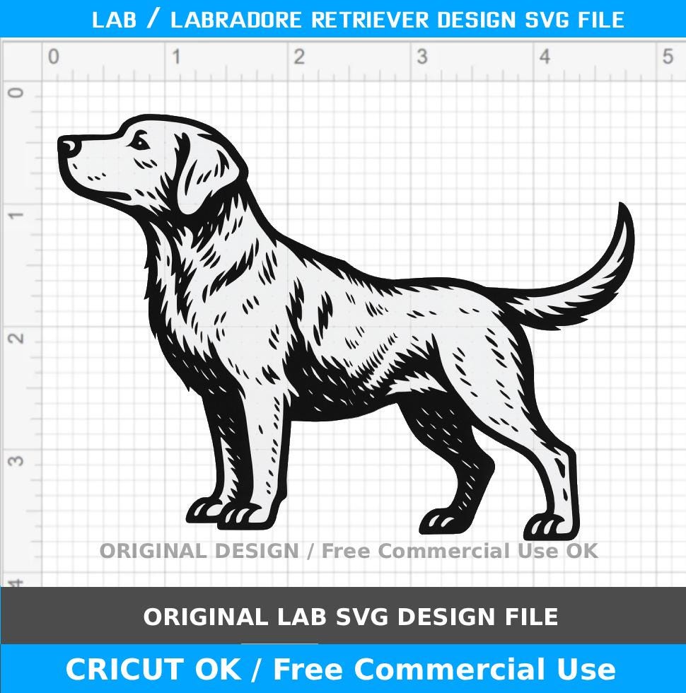Labrador Retriever SVG / lab dog body silhouette, cricut silhouette cutting file, dog svg / wood burning (free commercial use)