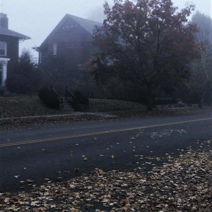Image posted by Ghost Together?