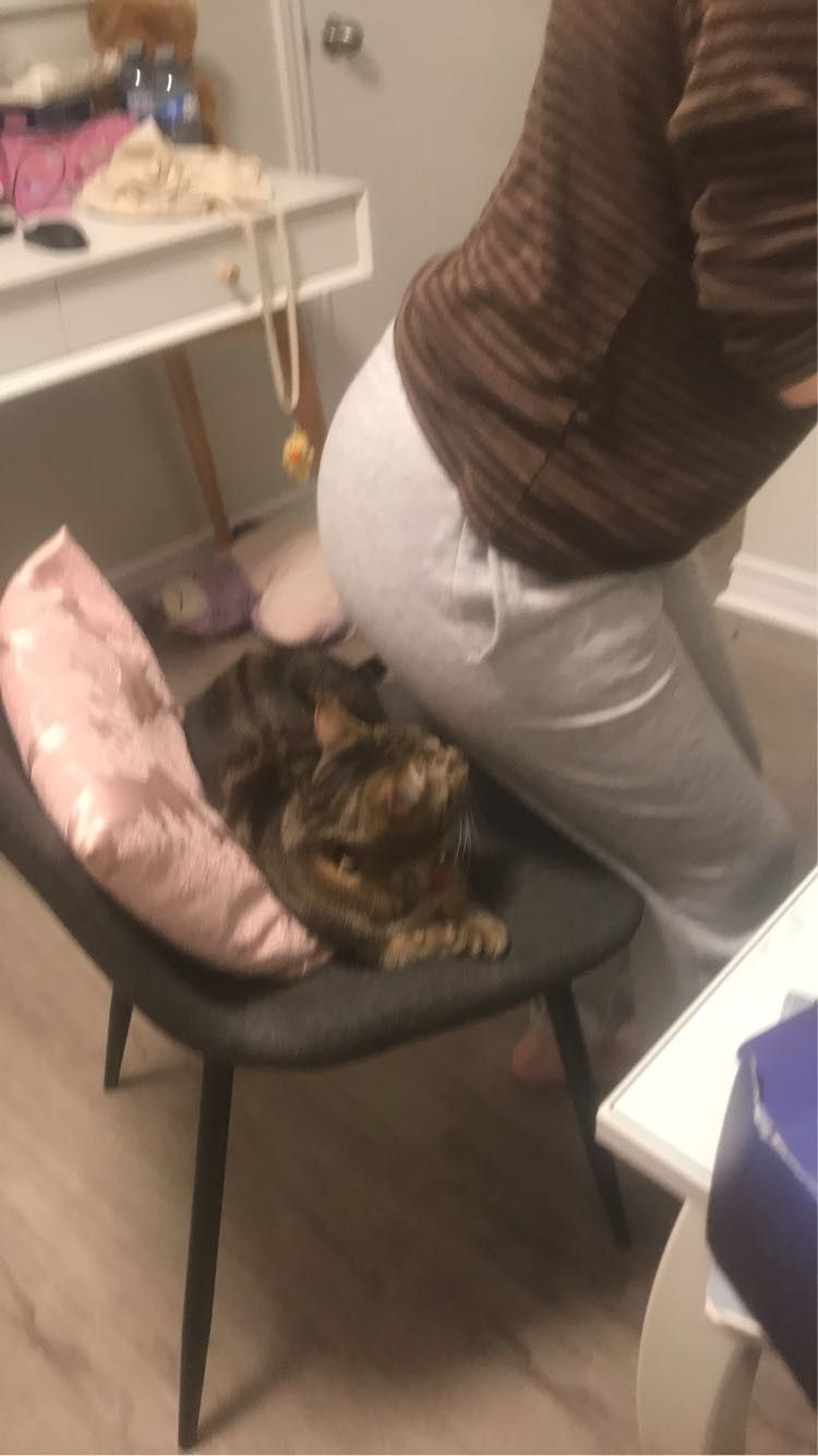 Image posted by meow