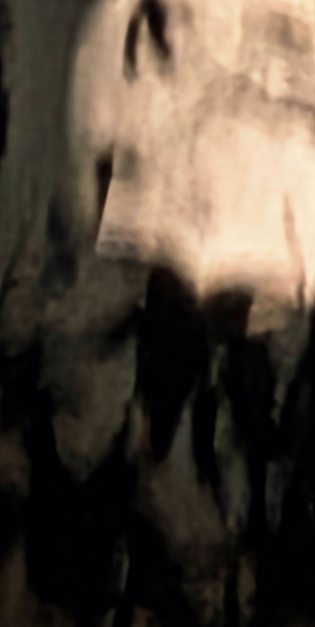 Image posted by M