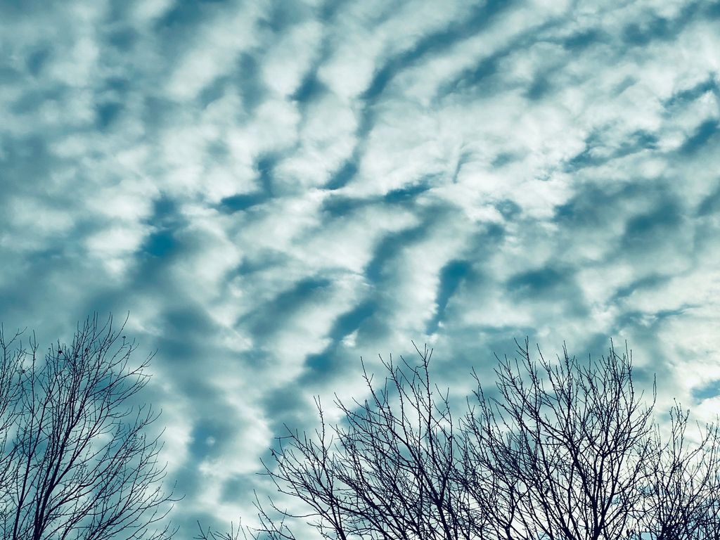 Image posted by Ghost Together