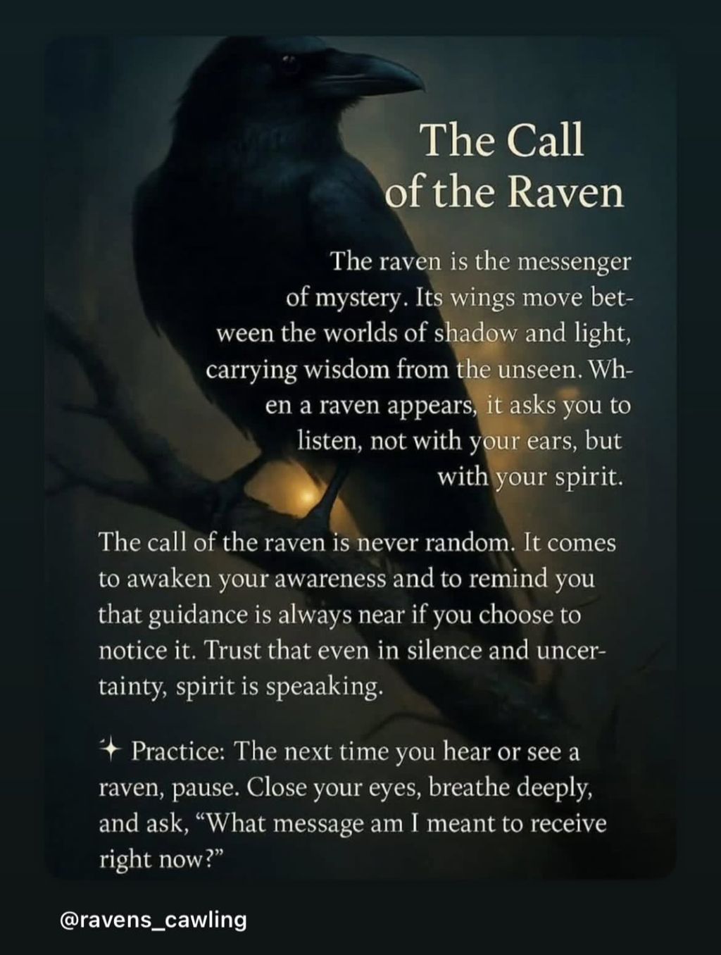 Image posted by Ghost Together