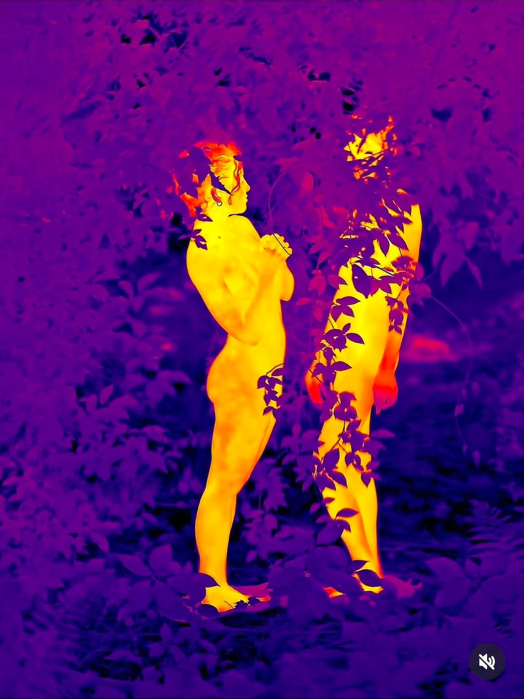 Image posted by Some kind of ghost