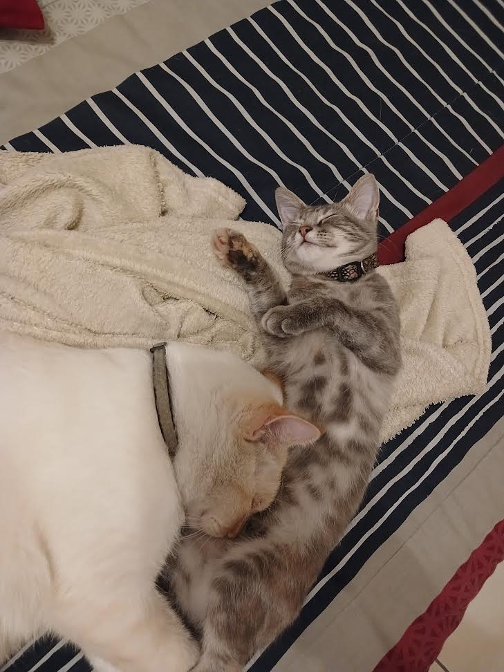 Image posted by OnlyMutt