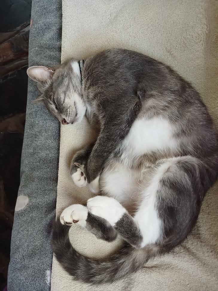 Image posted by OnlyMutt