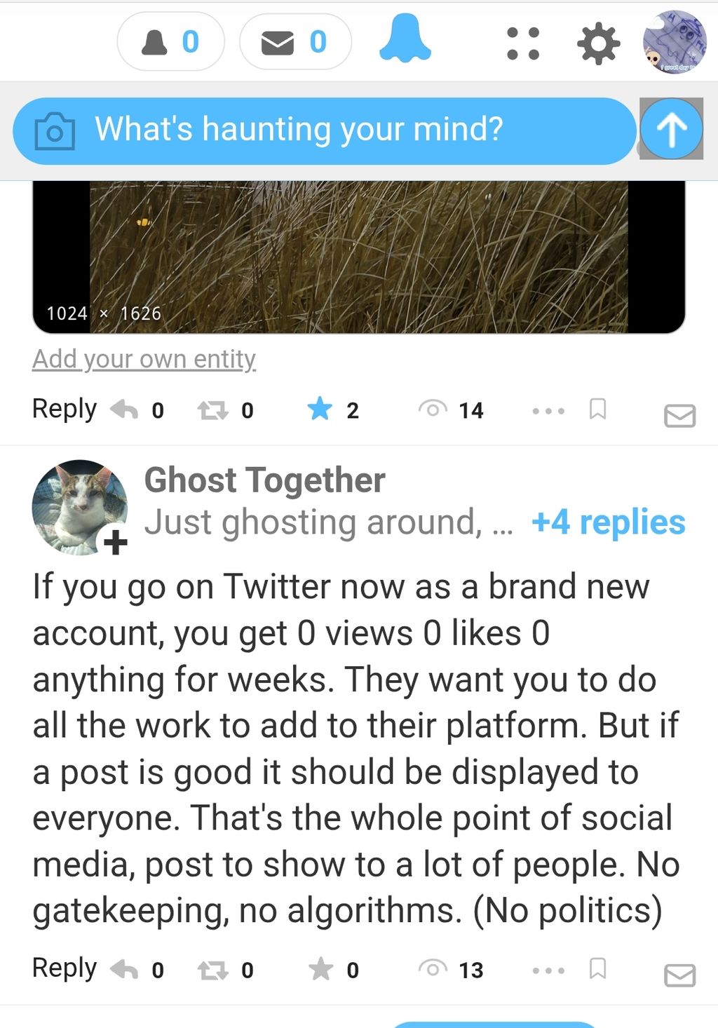 Image posted by HolyFox