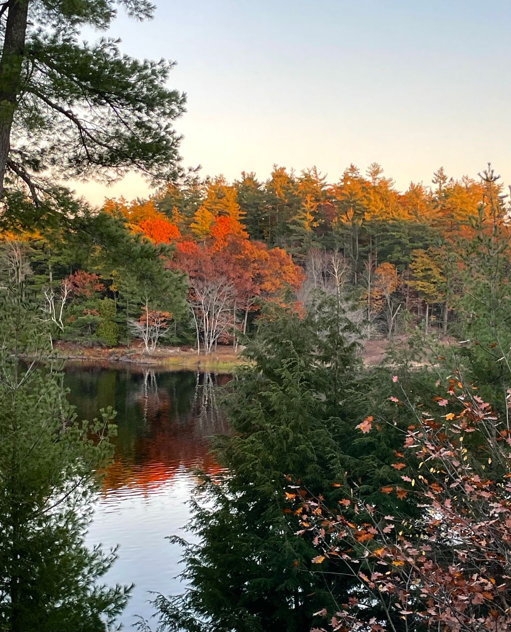 Image posted by LASwann