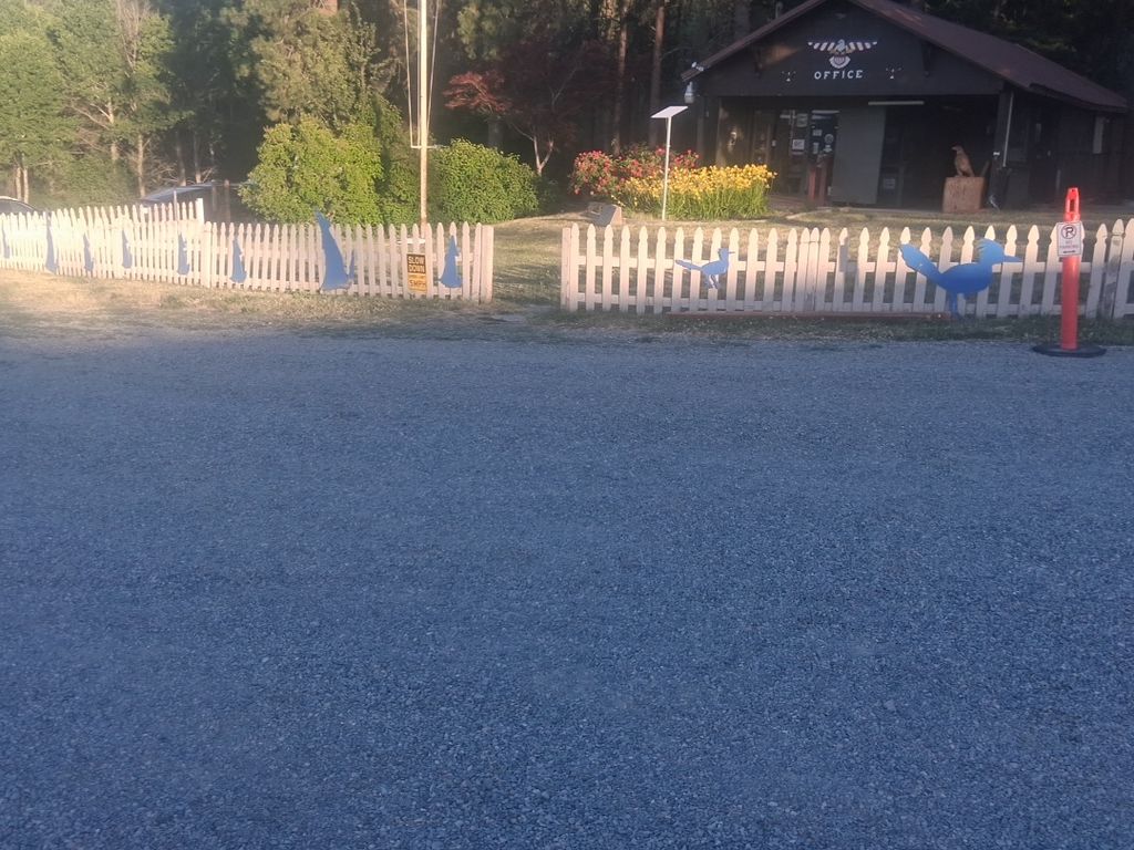 Image posted by A.Stranger