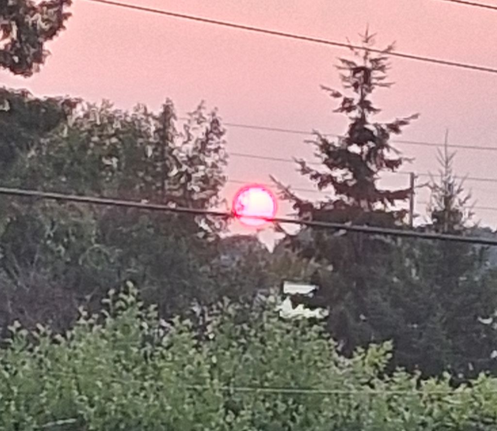 Image posted by A.Stranger