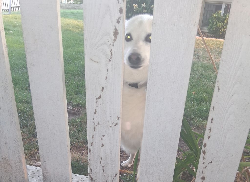 Image posted by A.Stranger