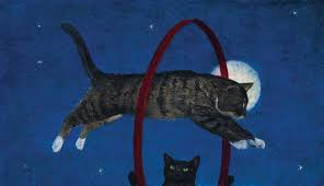 Image posted by daily cats